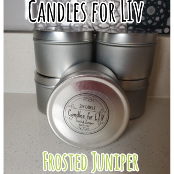 Candles for LIV Other - Homemade candle Frosted Juniper 8oz